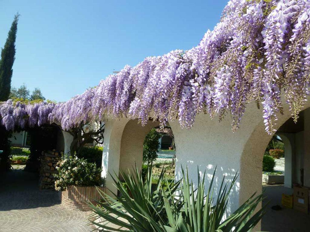 Villa Dolcevita San Costanzo Esterno foto