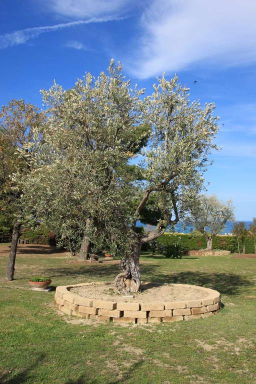 Villa Dolcevita San Costanzo Esterno foto